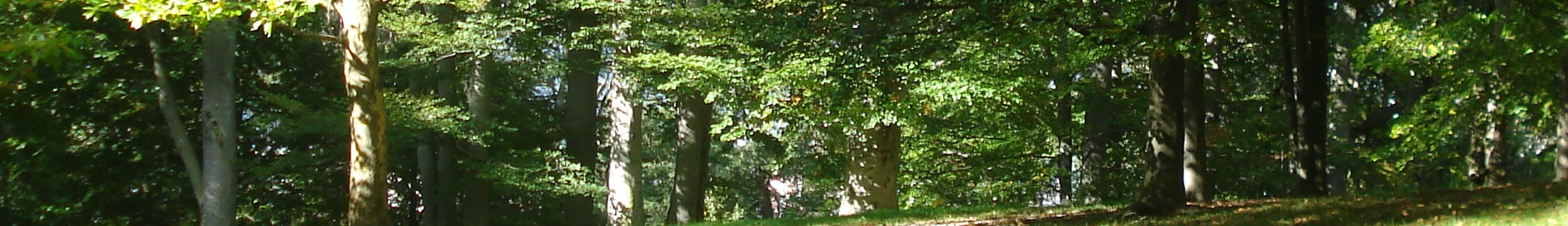 原一宏のブログ 英語交渉